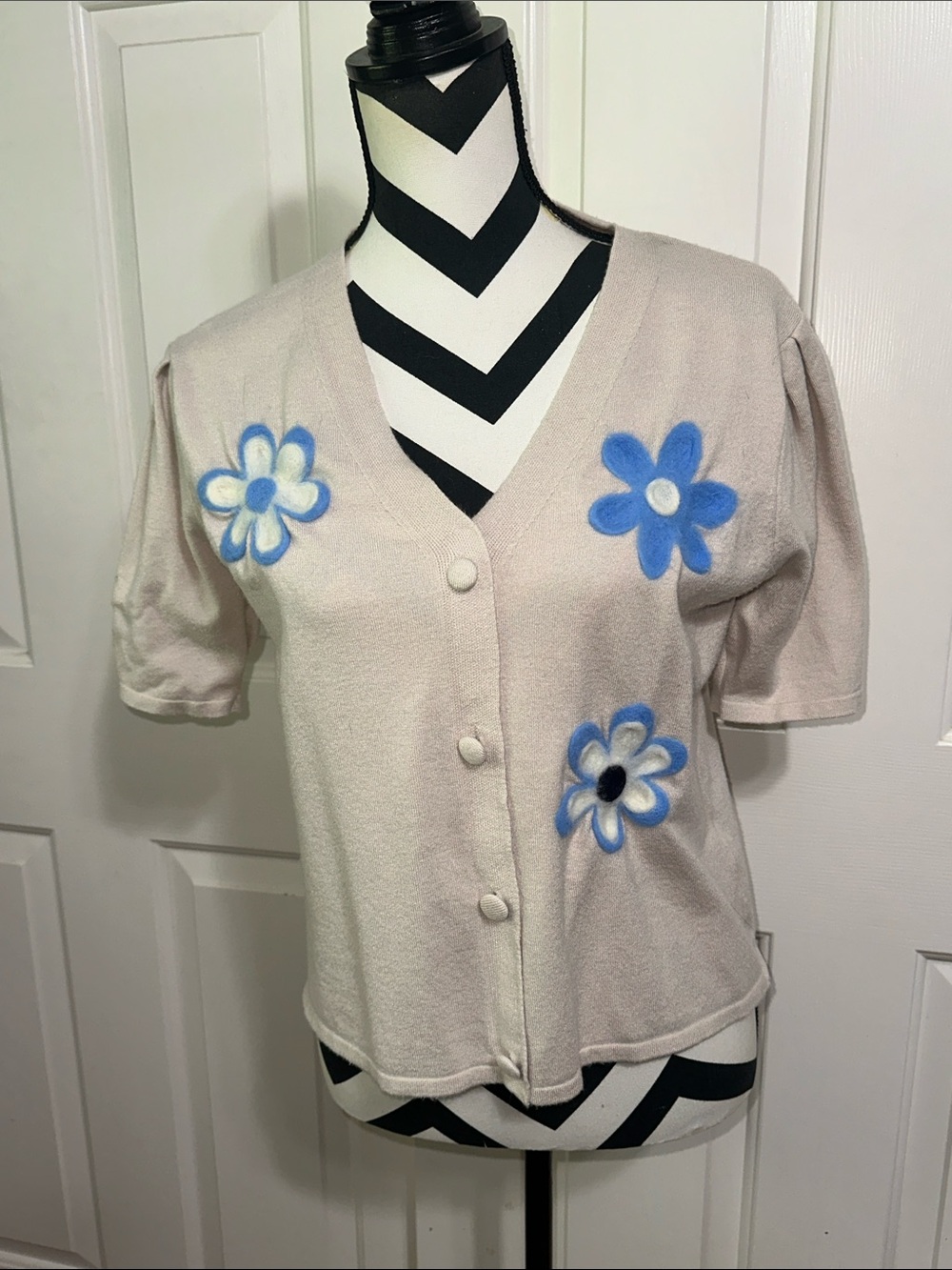 Aaeda Cream Short-Sleeve Button Front Top with Blue Floral Appliqués